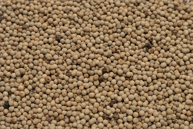 Muntok Whole White Pepper ( 1 LB.)